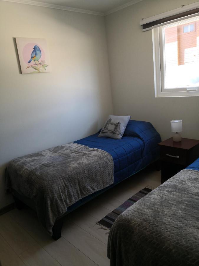 Departamento Nativo Pucon